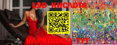 ECSTASY Можга