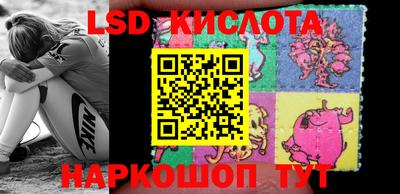 прущие крисы Моздок