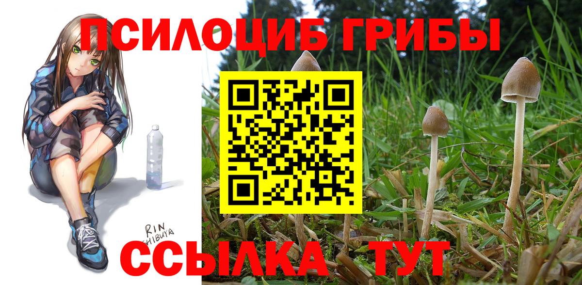 Псилоцибиновые грибы ЛСД Дмитров